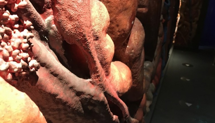 171009 Weißenburg Revolution Train Antidrogenzug