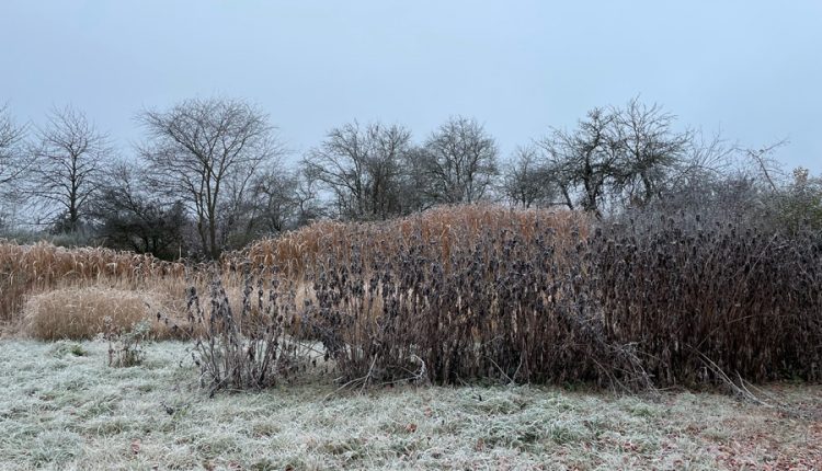 Es war ein … grauer November 2021. Foto: Hans-Martin Goede