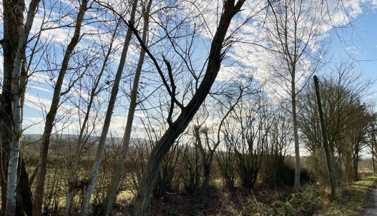 Sonnig und so warm wie nie zuvor: Silvester 2021 in Ansbach. Foto: Hans-Martin Goede