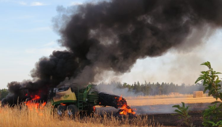 IMG_1301 – Kopie, cg