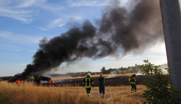 IMG_1302 – Kopie, cg