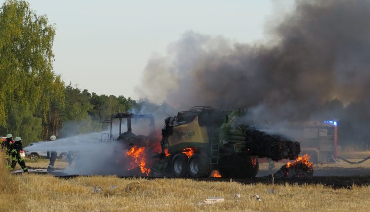 IMG_1308 – Kopie, cg