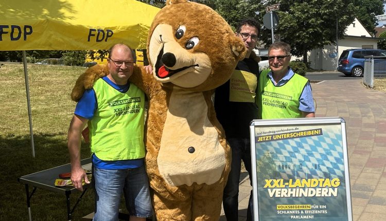 FDP Infostand Heilsbronn