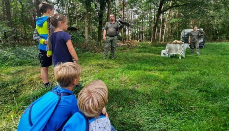 Kinder bestaunden die Greifvögel