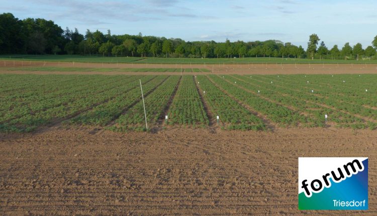 forum Triesdorf Vortrag Pflanzenbau – Von der Lehre in die Praxis