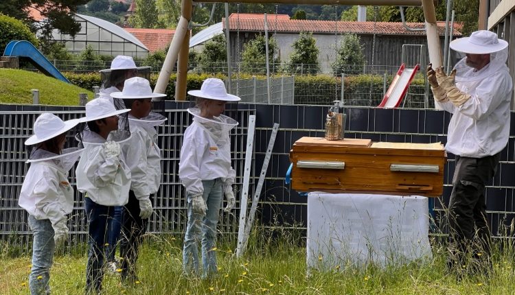 Die Grundschule Lichtenau wurde 2024 bei der Ansiedlung eines Bienenvolkes finanziell unterstützt.