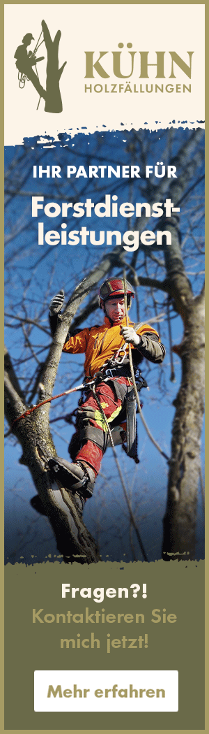 Holzfällungen Kühn Petersaurach