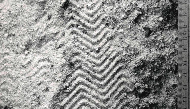 SchuheindruckspurGröße43