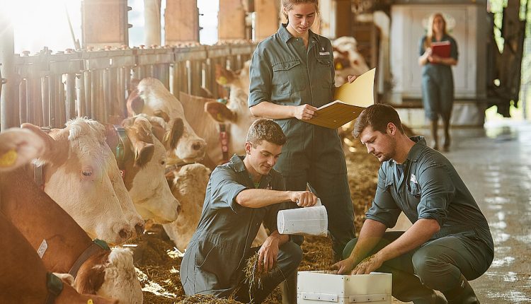 Studierende der Landwirtschaft an der HSWT am Campus Triesdorf